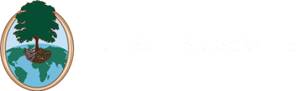 fine-earth-logo-topbar